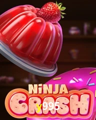 Y995.COM