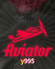 Y995.COM
